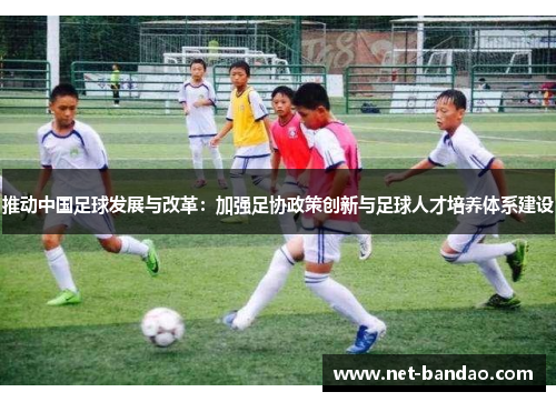 推动中国足球发展与改革：加强足协政策创新与足球人才培养体系建设