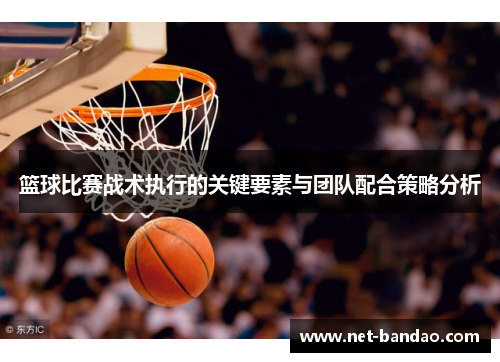 篮球比赛战术执行的关键要素与团队配合策略分析