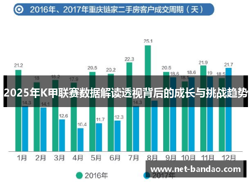 2025年K甲联赛数据解读透视背后的成长与挑战趋势