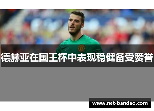 德赫亚在国王杯中表现稳健备受赞誉