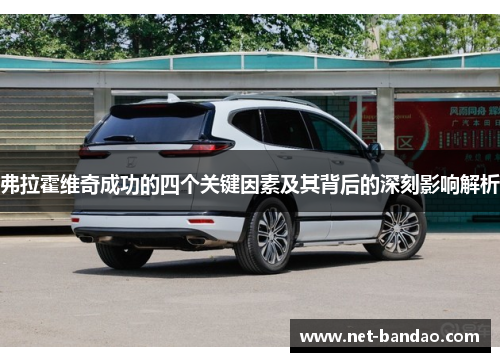 弗拉霍维奇成功的四个关键因素及其背后的深刻影响解析