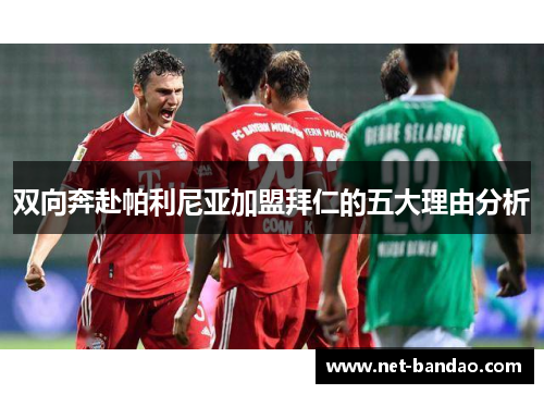 双向奔赴帕利尼亚加盟拜仁的五大理由分析