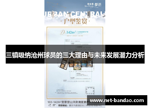 三镇吸纳沧州球员的三大理由与未来发展潜力分析