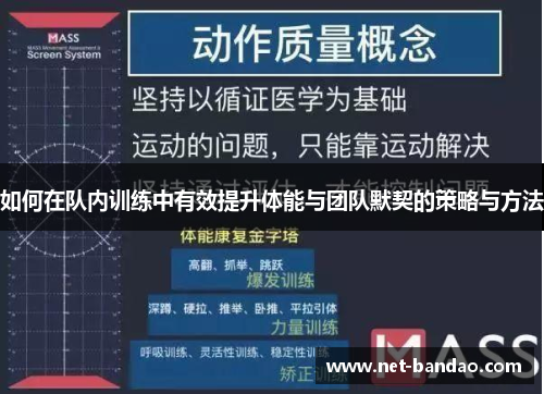 如何在队内训练中有效提升体能与团队默契的策略与方法