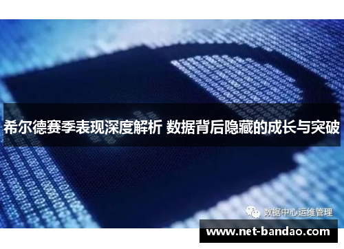 希尔德赛季表现深度解析 数据背后隐藏的成长与突破
